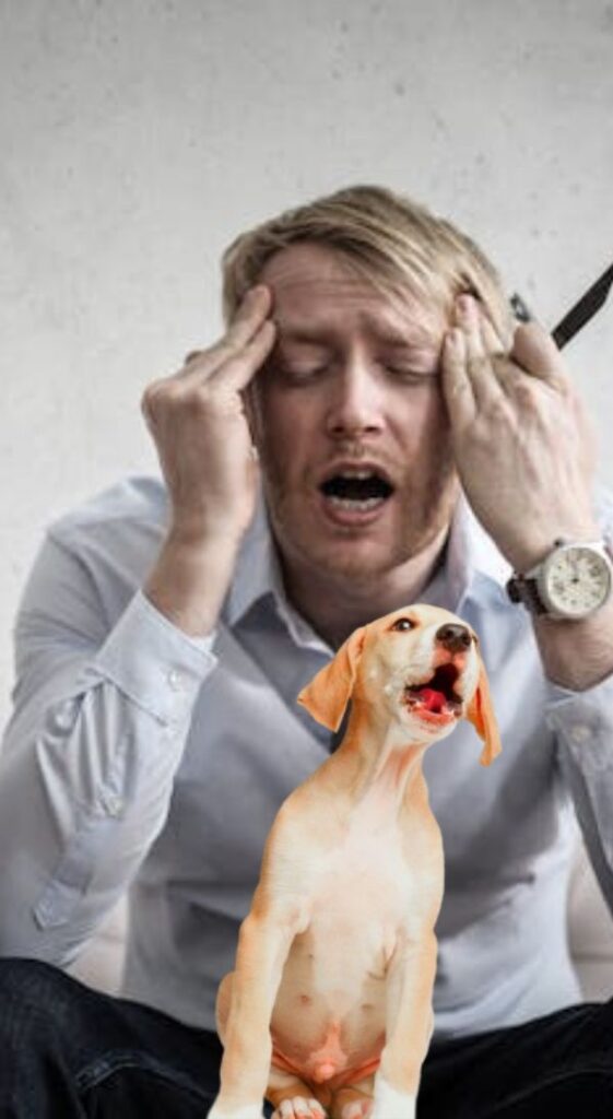 Hombre con expresión de frustración, cubriéndose los oídos mientras un perro ladra intensamente a su lado.