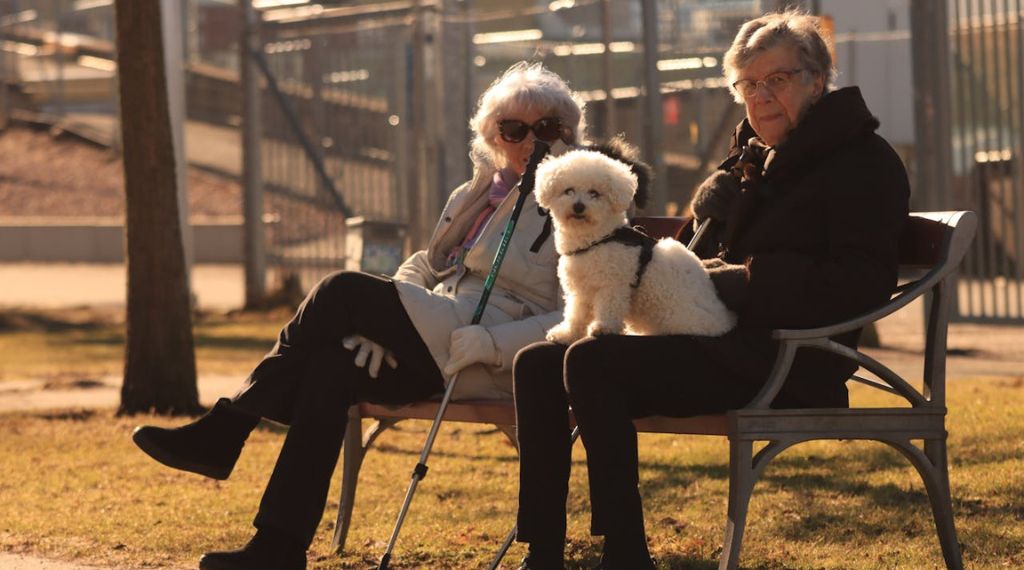 Bichón Frisé sentado en un parque junto a dos mujeres mayores, una de ellas invidente