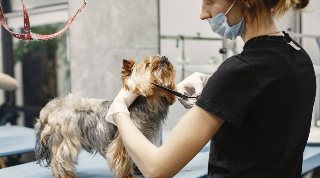 Un estilista canino trabajando en un salón de peluquería canina, cuidando del pelaje de un perro
